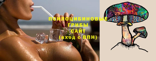 прущие грибы Алзамай