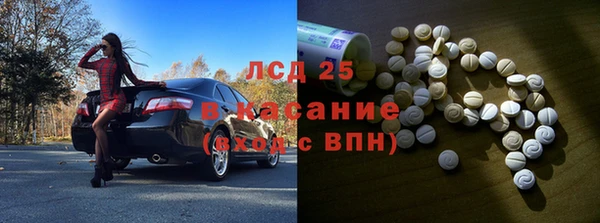 прущие грибы Алзамай