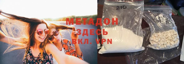 прущие грибы Алзамай