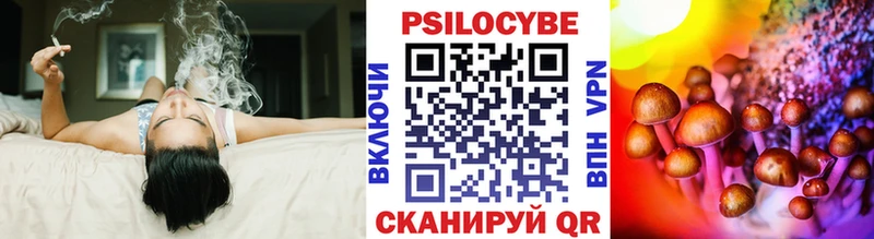 Купить закладки  Чита  Галлюциногенные грибы прущие грибы 